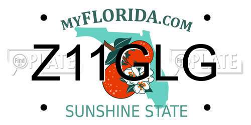 Z11GLG Florida License Plate