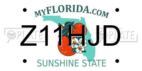Z11HJD Florida License Plate