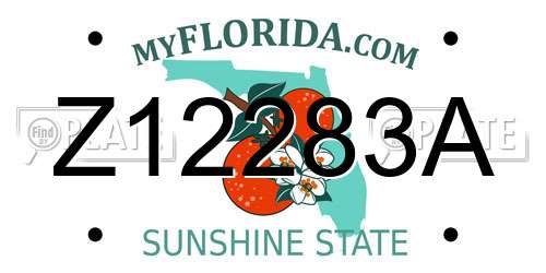 Z12283A Florida License Plate