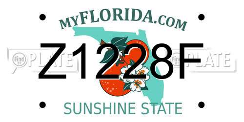Z1228F Florida License Plate