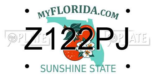 Z122PJ Florida License Plate