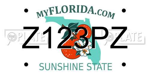 Z123PZ Florida License Plate