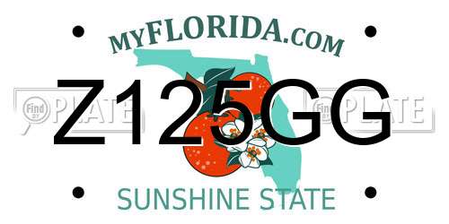 Z125GG Florida License Plate