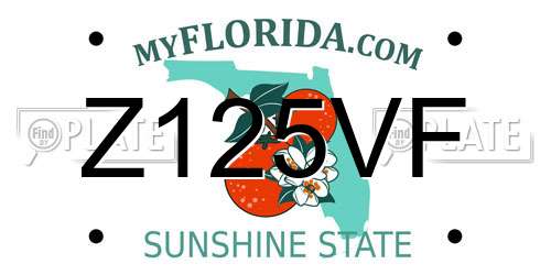 Z125VF Florida License Plate