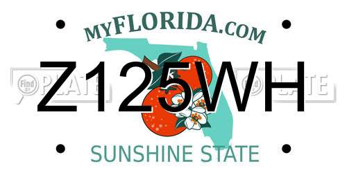 Z125WH Florida License Plate