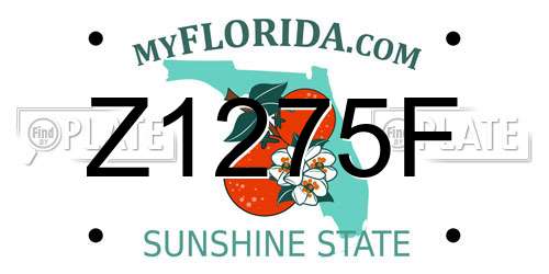 Z1275F Florida License Plate