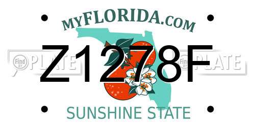 Z1278F Florida License Plate