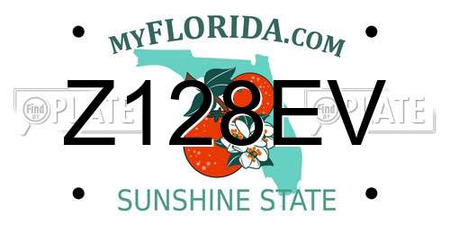Z128EV Florida License Plate