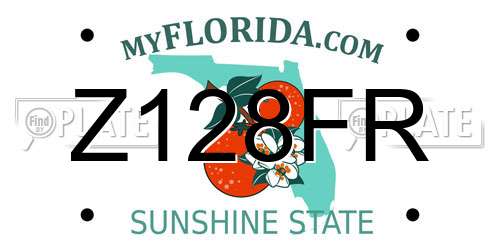 Z128FR Florida License Plate