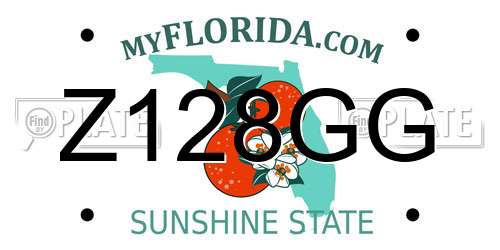 Z128GG Florida License Plate