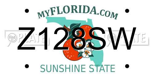 Z128SW Florida License Plate