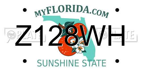 Z128WH Florida License Plate