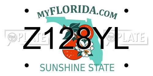 Z128YL Florida License Plate