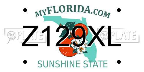 Z129XL Florida License Plate