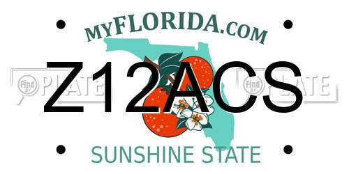 Z12ACS Florida License Plate