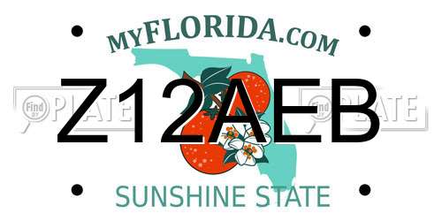 Z12AEB Florida License Plate