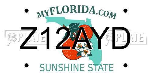 Z12AYD Florida License Plate