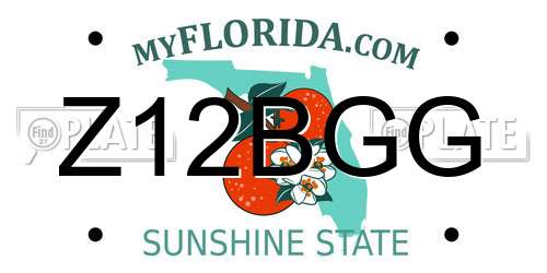 Z12BGG Florida License Plate