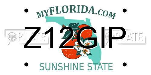Z12GIP Florida License Plate