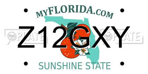 Z12GXY Florida License Plate