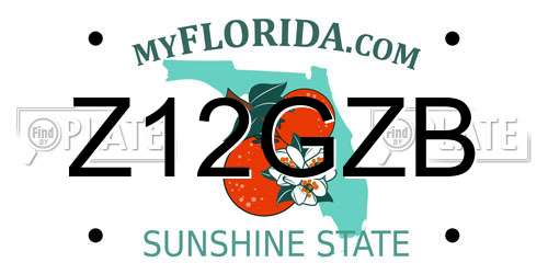 Z12GZB Florida License Plate