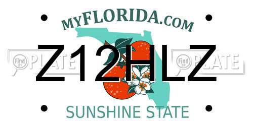 Z12HLZ Florida License Plate