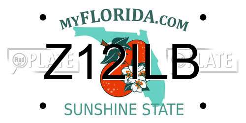 Z12ILB Florida License Plate