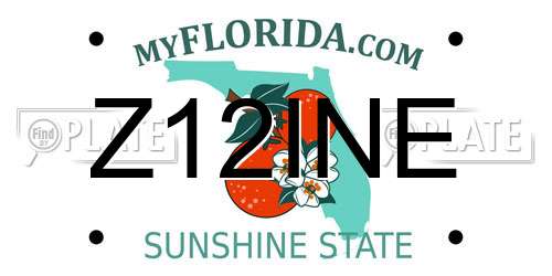 Z12INE Florida License Plate