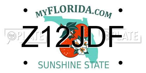 Z12JDF Florida License Plate