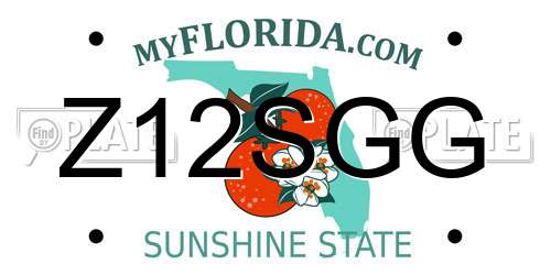 Z12SGG Florida License Plate