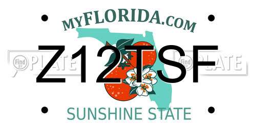 Z12TSF Florida License Plate