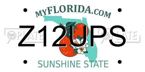 Z12UPS Florida License Plate
