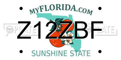 Z12ZBF Florida License Plate