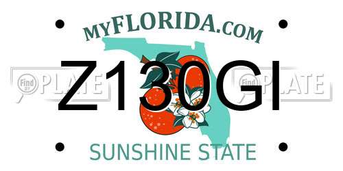 Z130GI Florida License Plate