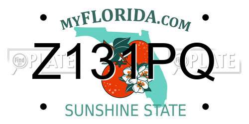 Z131PQ Florida License Plate