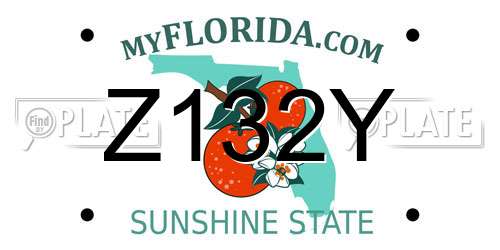 Z132Y Florida License Plate