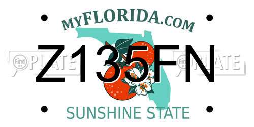 Z135FN Florida License Plate