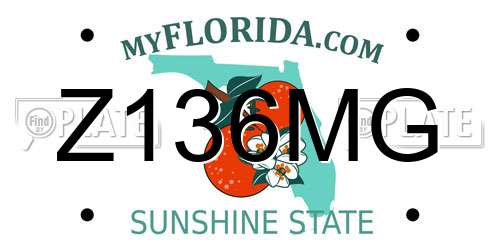 Z136MG Florida License Plate
