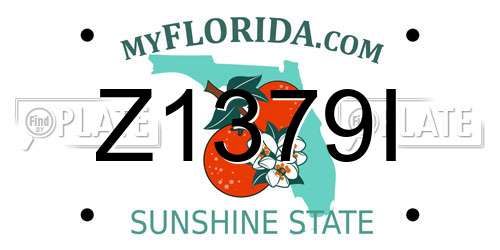 Z1379I Florida License Plate