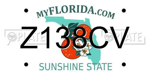 Z138CV Florida License Plate