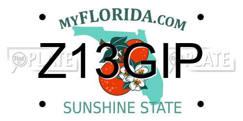 Z13GIP Florida License Plate