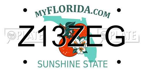Z13ZEG Florida License Plate
