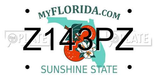 Z143PZ Florida License Plate