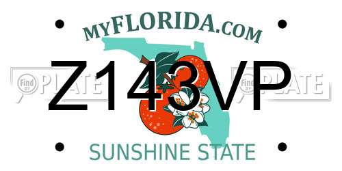 Z143VP Florida License Plate