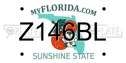 Z146BL Florida License Plate