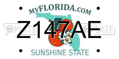 Z147AE Florida License Plate