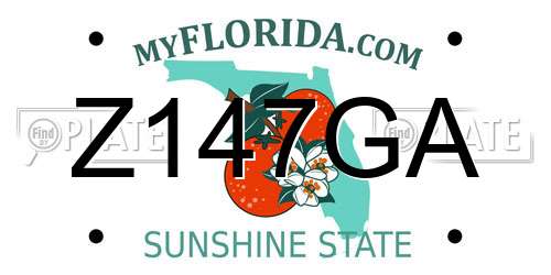 Z147GA Florida License Plate