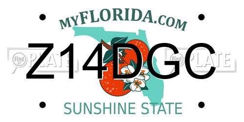 Z14DGC Florida License Plate
