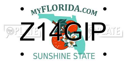 Z14GIP Florida License Plate