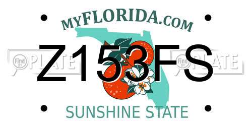 Z153FS Florida License Plate